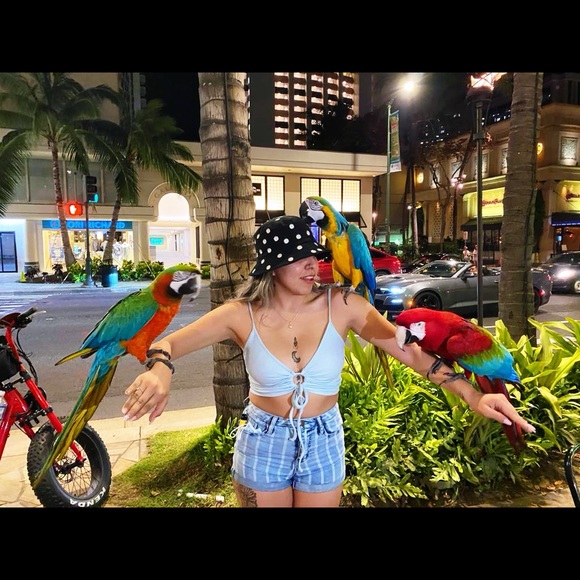 adayoflife19